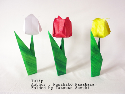 Photo Origami Tulip, Author : Kunihiko Kasahara, Folded by Tatsuto Suzuki
